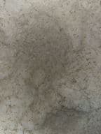 Best White Rice 白饭 in Bradford, PA